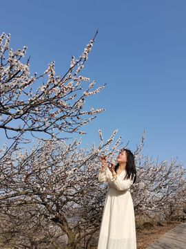 初夏～薇主播照片