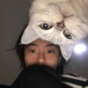 Aaaa忘与记