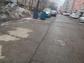天王盖地虎虎044的图片
