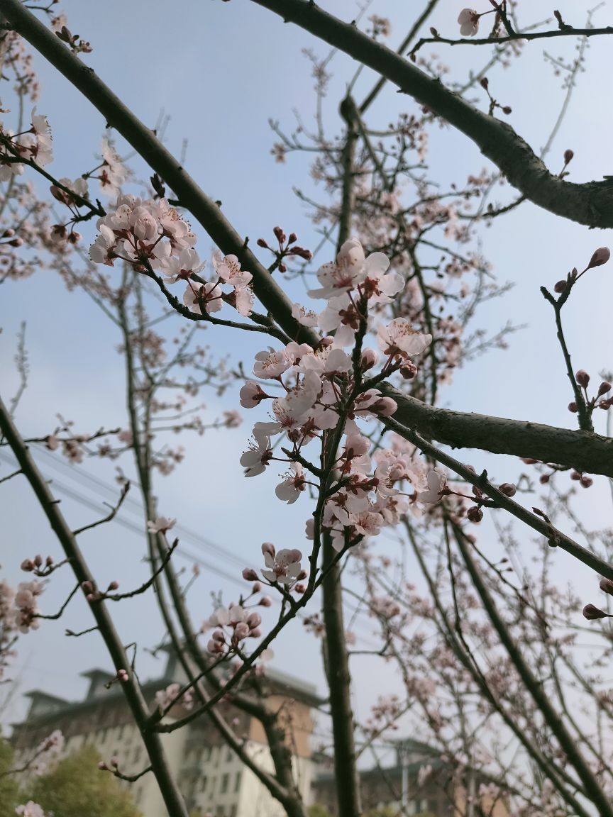 婷婷💕感恩有你陪伴的图片