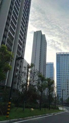 后宫主播几万❤主播照片