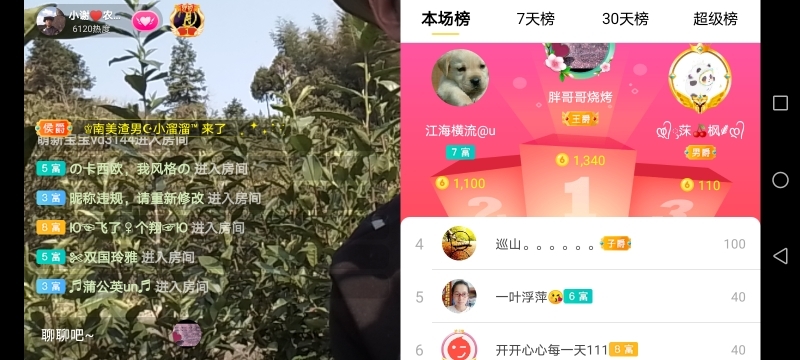 小谢农村田园生活的图片