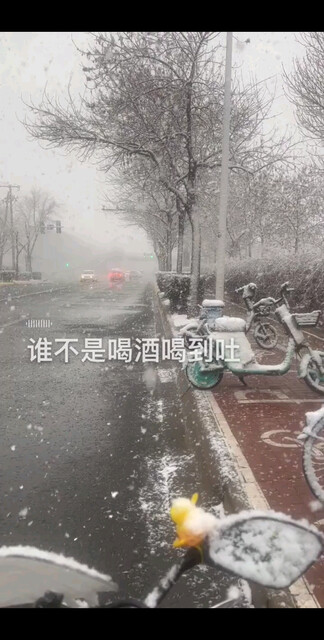 三月雪～