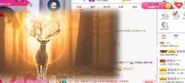小奶猫谢谢哥哥们主播照片