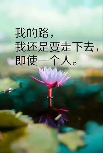 💖幻👑影💖的主播照片