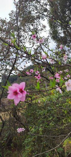 妞妞骑行中国主播照片