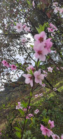 妞妞骑行中国主播照片