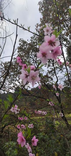 妞妞骑行中国主播照片