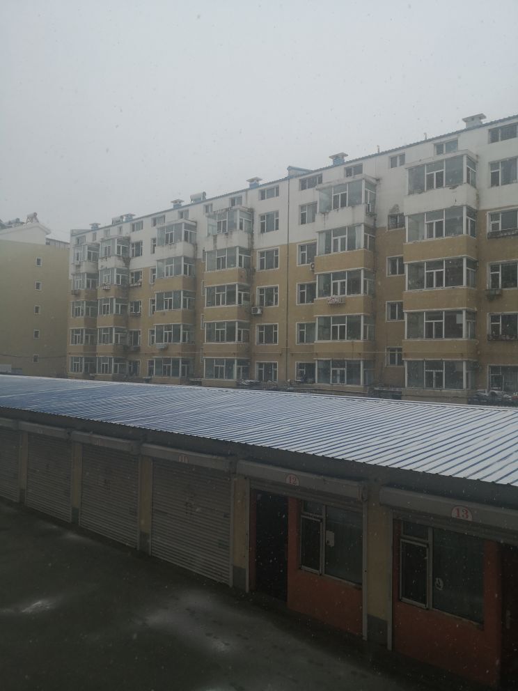 天王盖地虎044的图片
