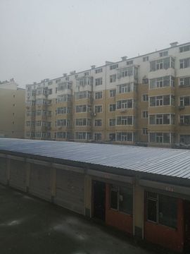 天王盖地虎虎044的图片