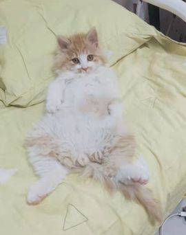 回忆中拥抱🤗主播照片