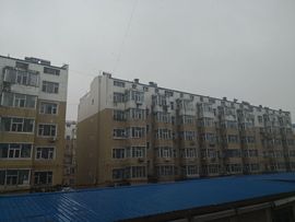 天王盖地虎虎044的图片