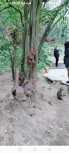 张妞骑行中国🚲主播照片