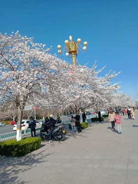 honey兔好运来~主播照片