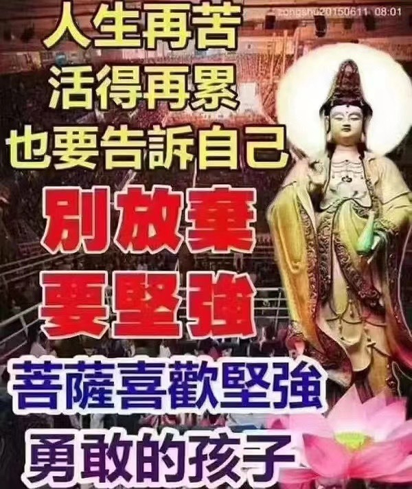 查无此人__的主播照片