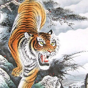 🐯幸运虎🐯海报