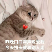 夜夜相伴￥