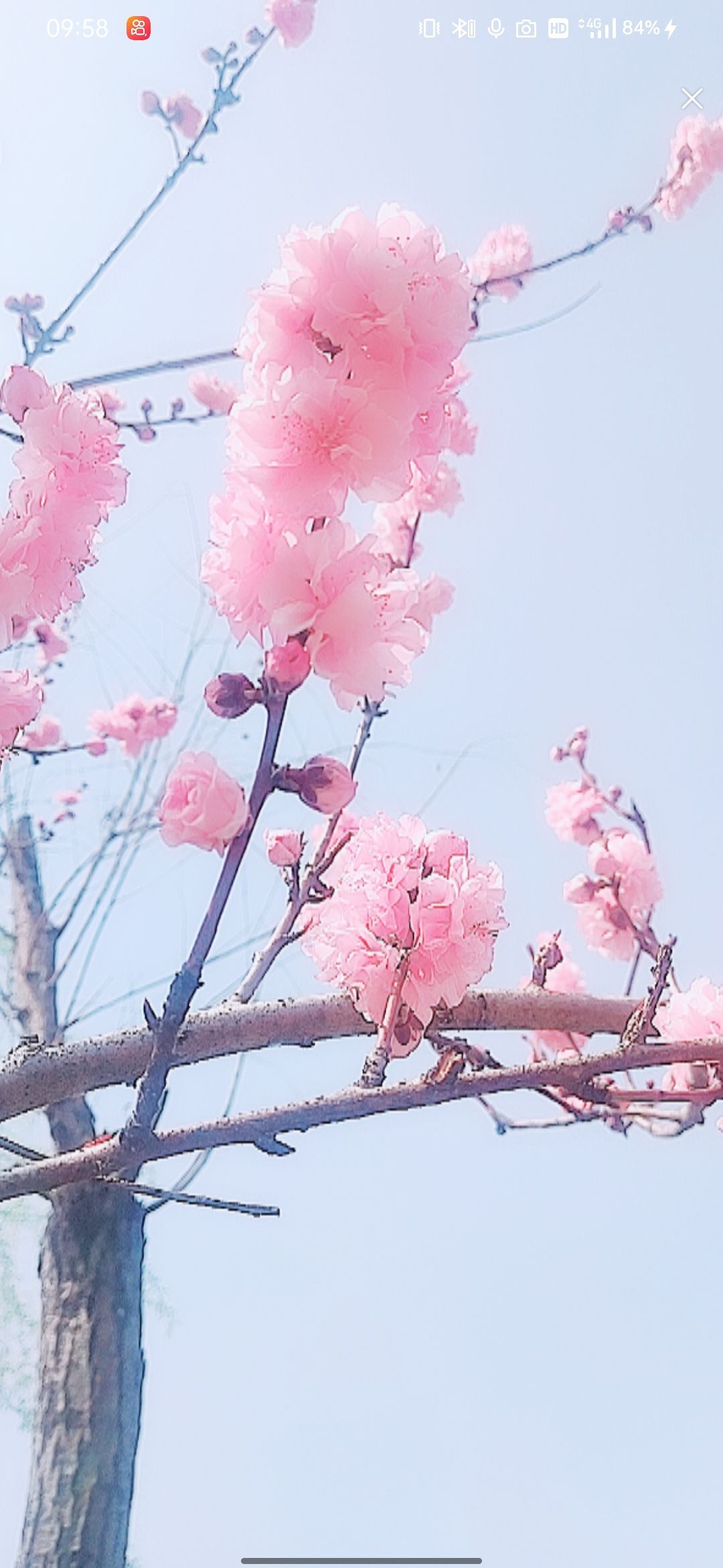 婷婷💕感恩有你陪伴的图片