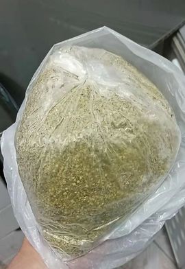 👑䒕暖宝好运旺旺旺主播照片