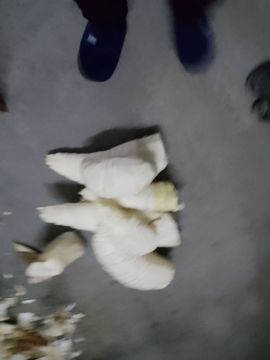 小谢农村田园生活主播照片