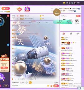 天鹅飞远了主播照片