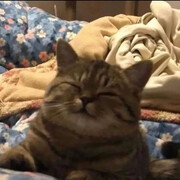 翰翰(◍•ᴗ•◍)