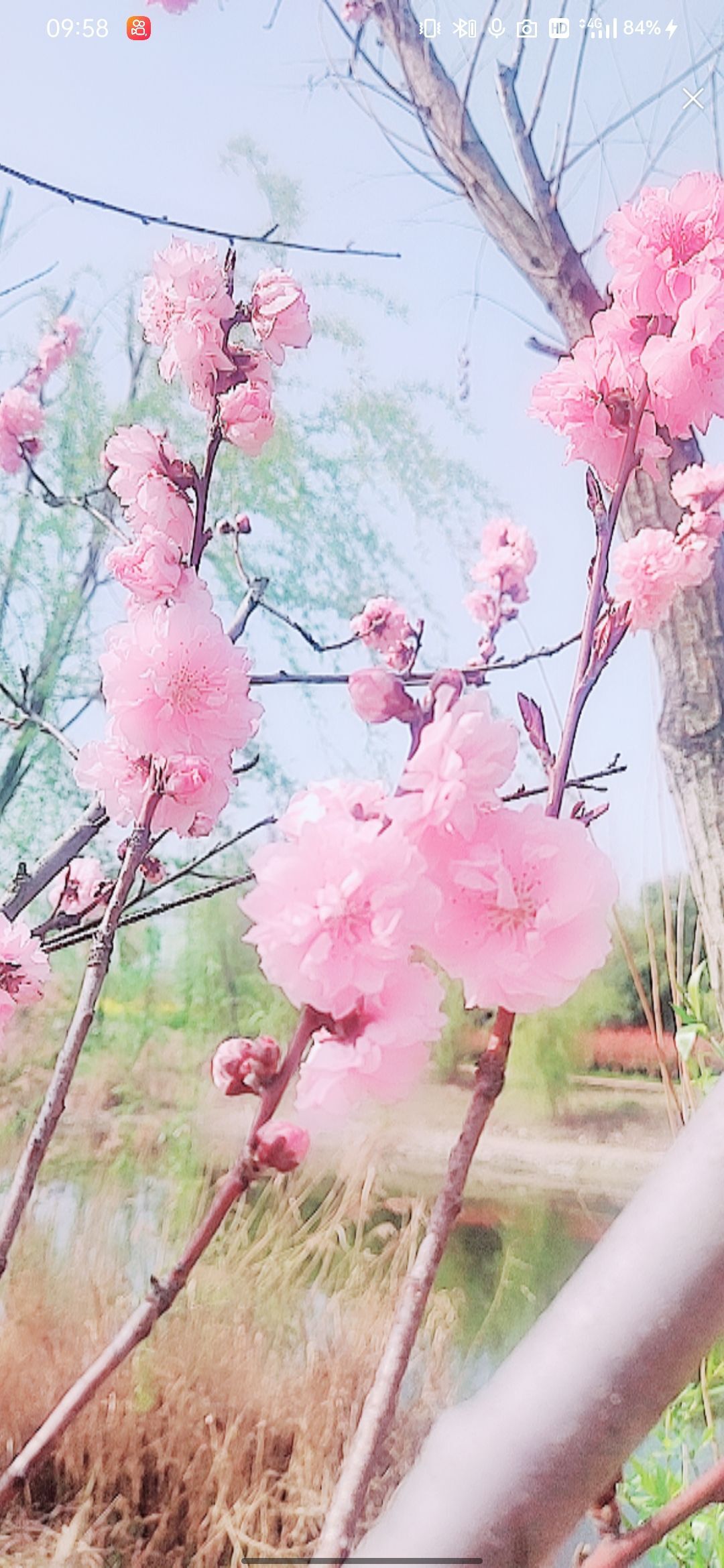 婷婷💕感恩有你陪伴的图片