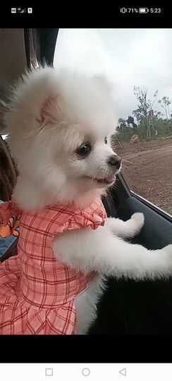 嗨，小baby主播照片