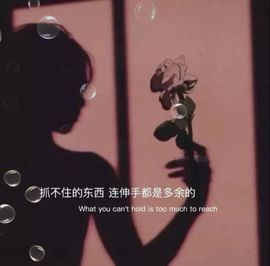 回憶👈落花隨淚綻放的图片