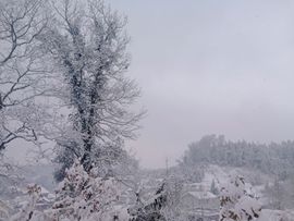 初遇欣颜主播照片