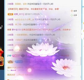 七七没人宠主播照片