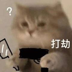 阳阳💕晚上见主播照片