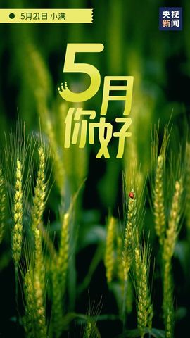 超持久“桑拿天”来了主播照片