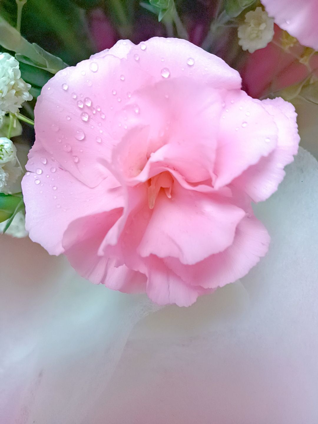 岚☆若冰♂的图片