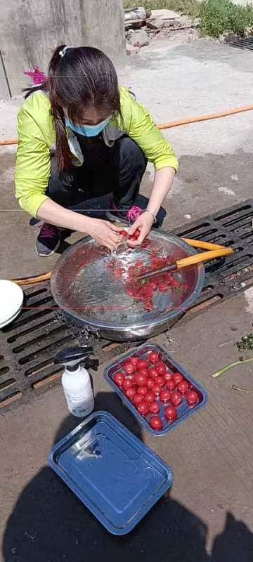 果果(平安好运)的图片