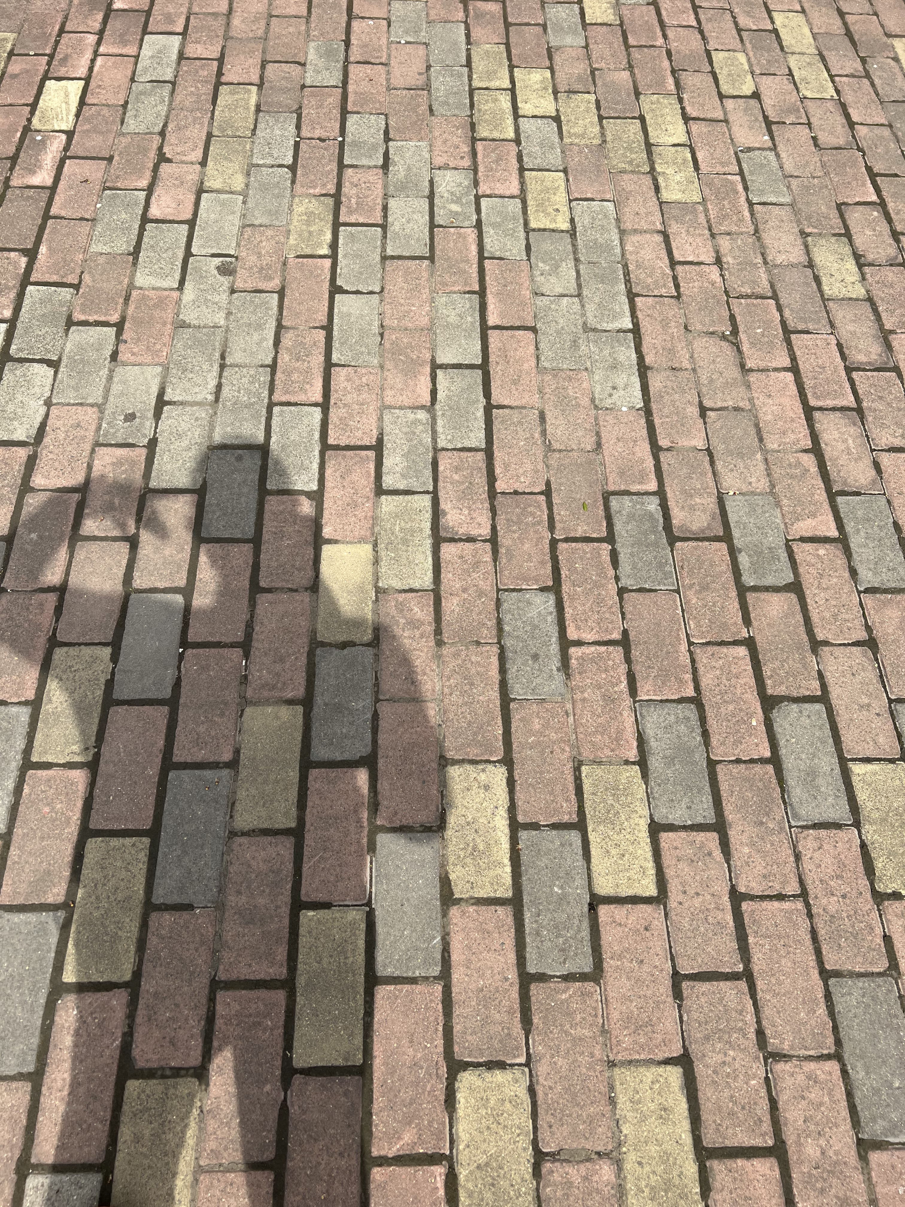 ♬茄酒人生♫主播照片
