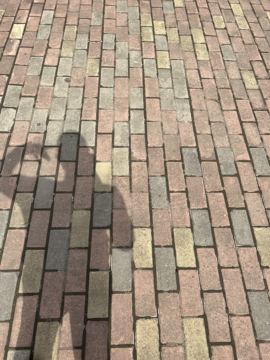 ♬茄酒人生♫主播照片
