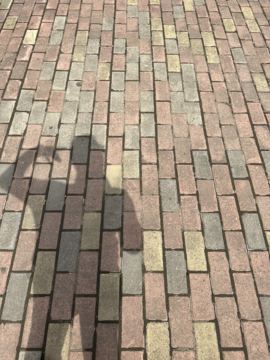 ♬茄酒人生♫主播照片