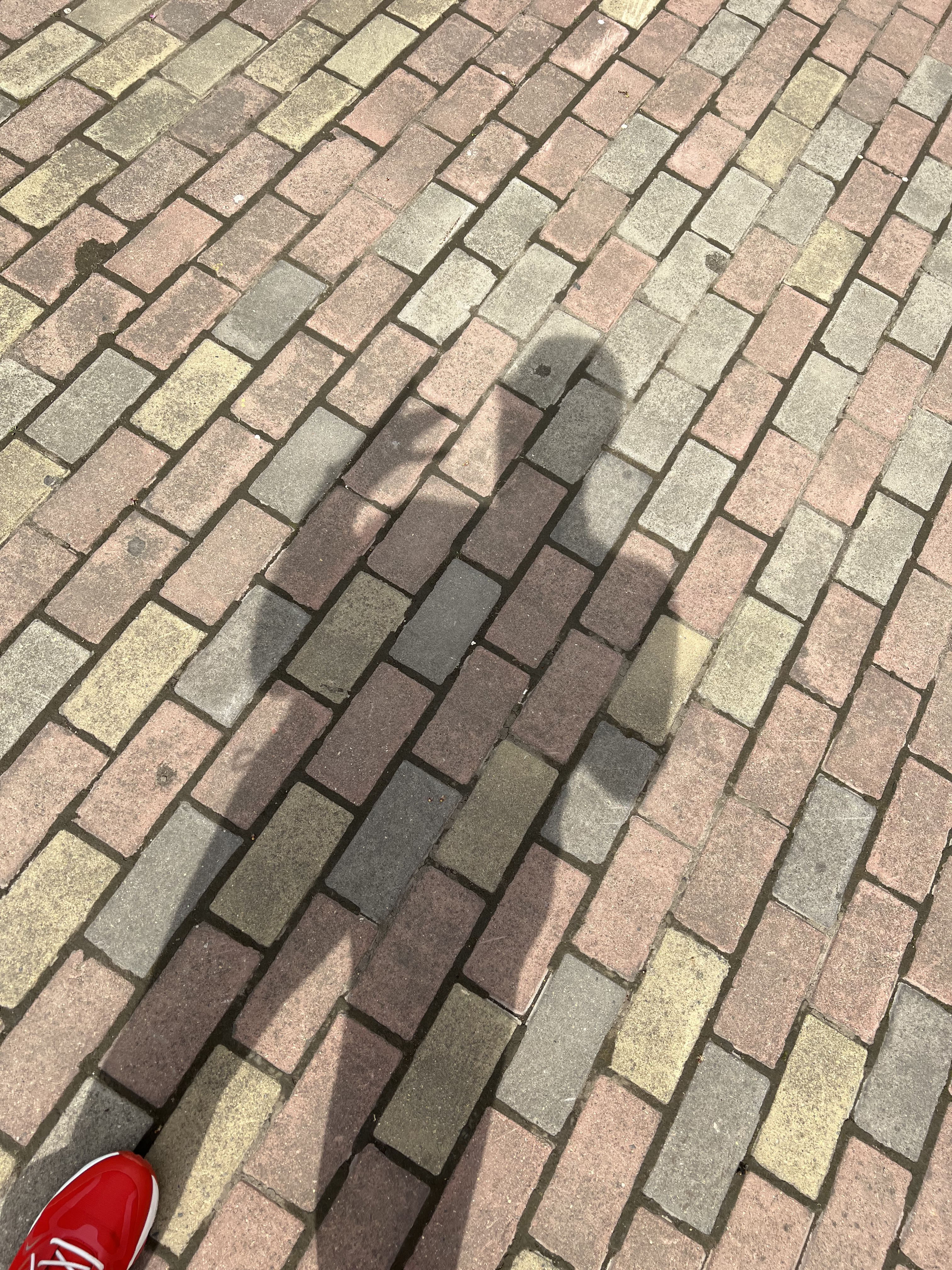 ♬茄酒人生♫主播照片