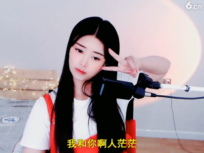恐龙路线的图片