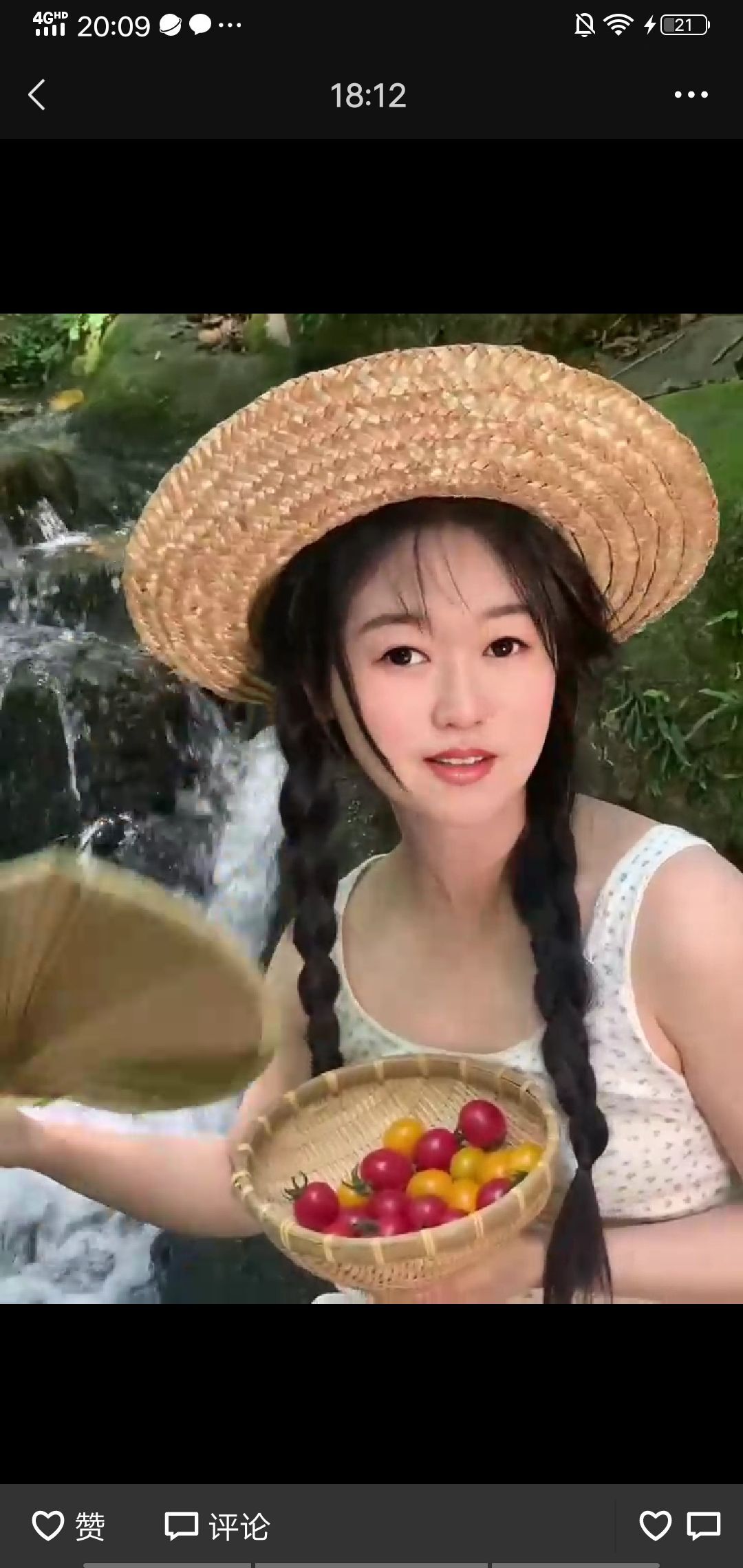 果果(平安好运)的图片