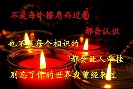 情深∮緣淺的图片