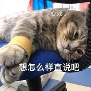 不再是当年的我