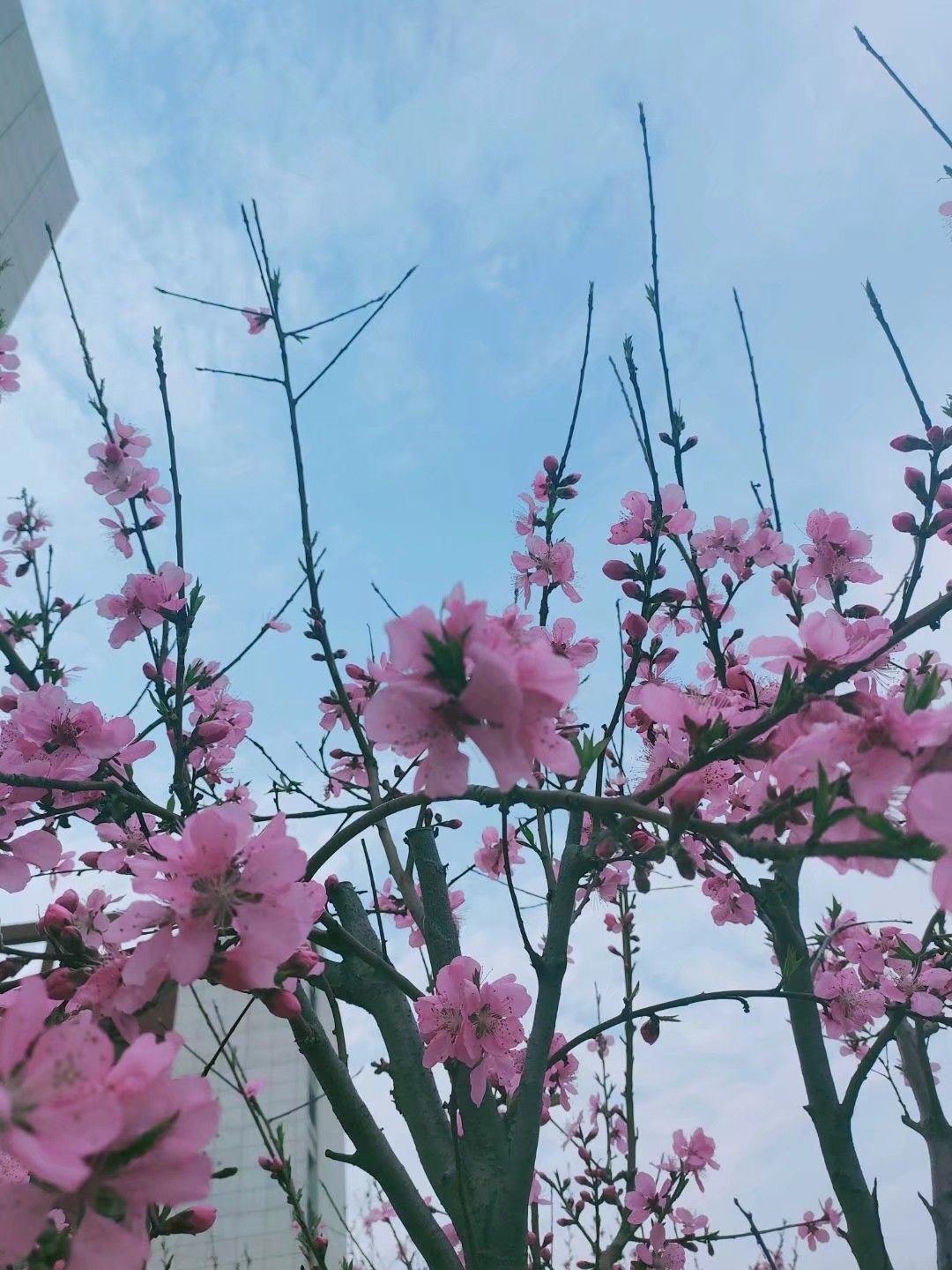 婷婷💕感恩有你陪伴的图片