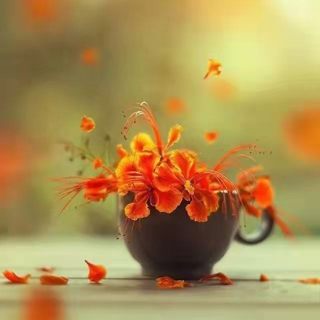 玟玟🌸的图片