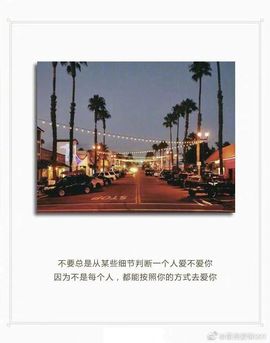 南风（机器粉）主播照片