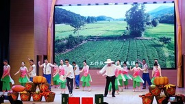 茶茶大吉大利主播照片