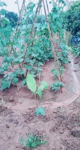 甜蜜未来乐在心怀主播照片