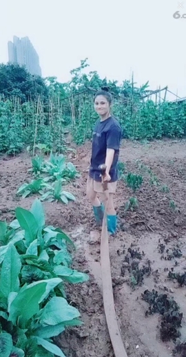 甜蜜未来乐在心怀主播照片