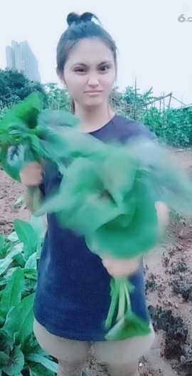 甜蜜未来乐在心怀主播照片